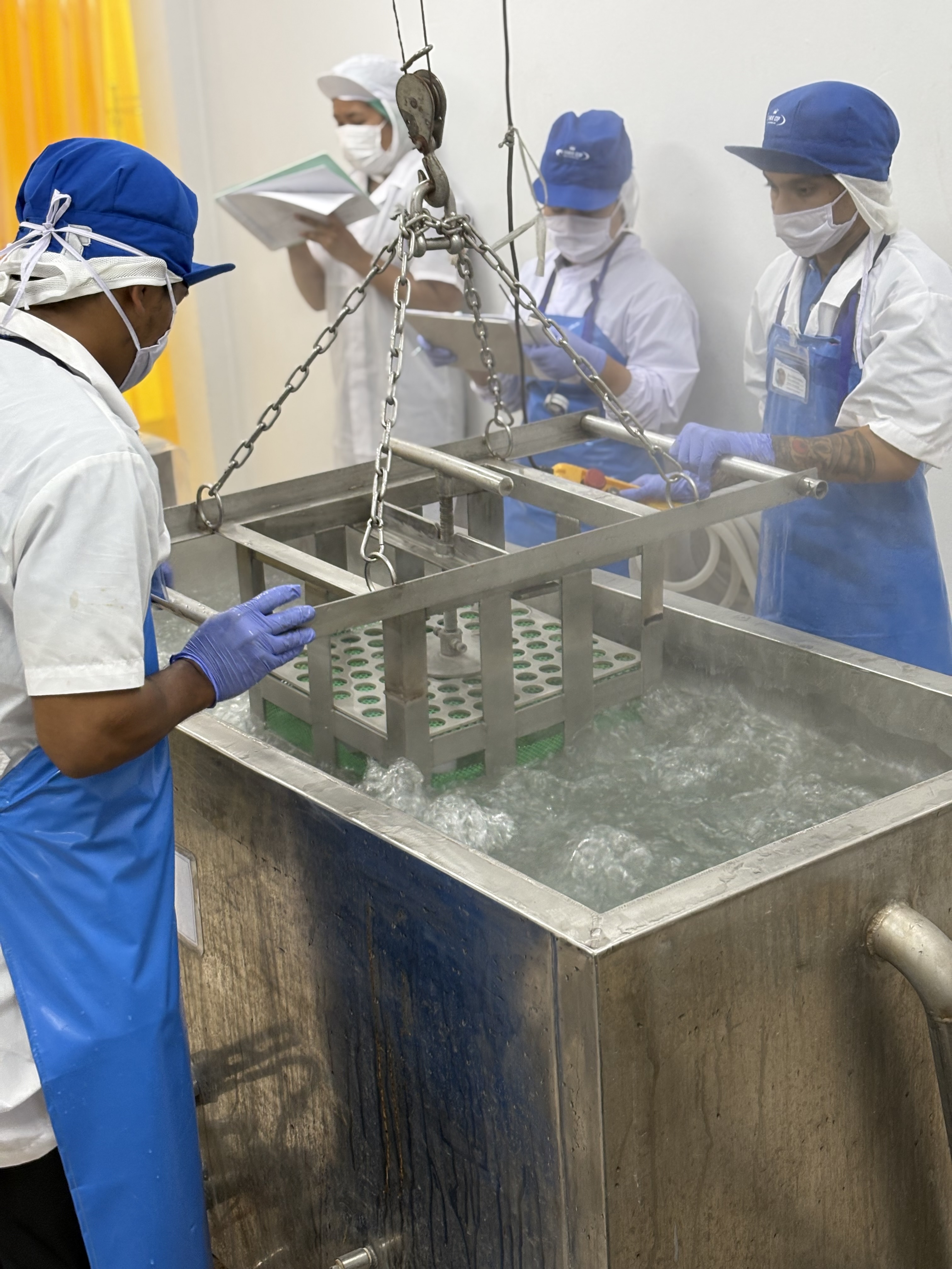 Pasteurization process