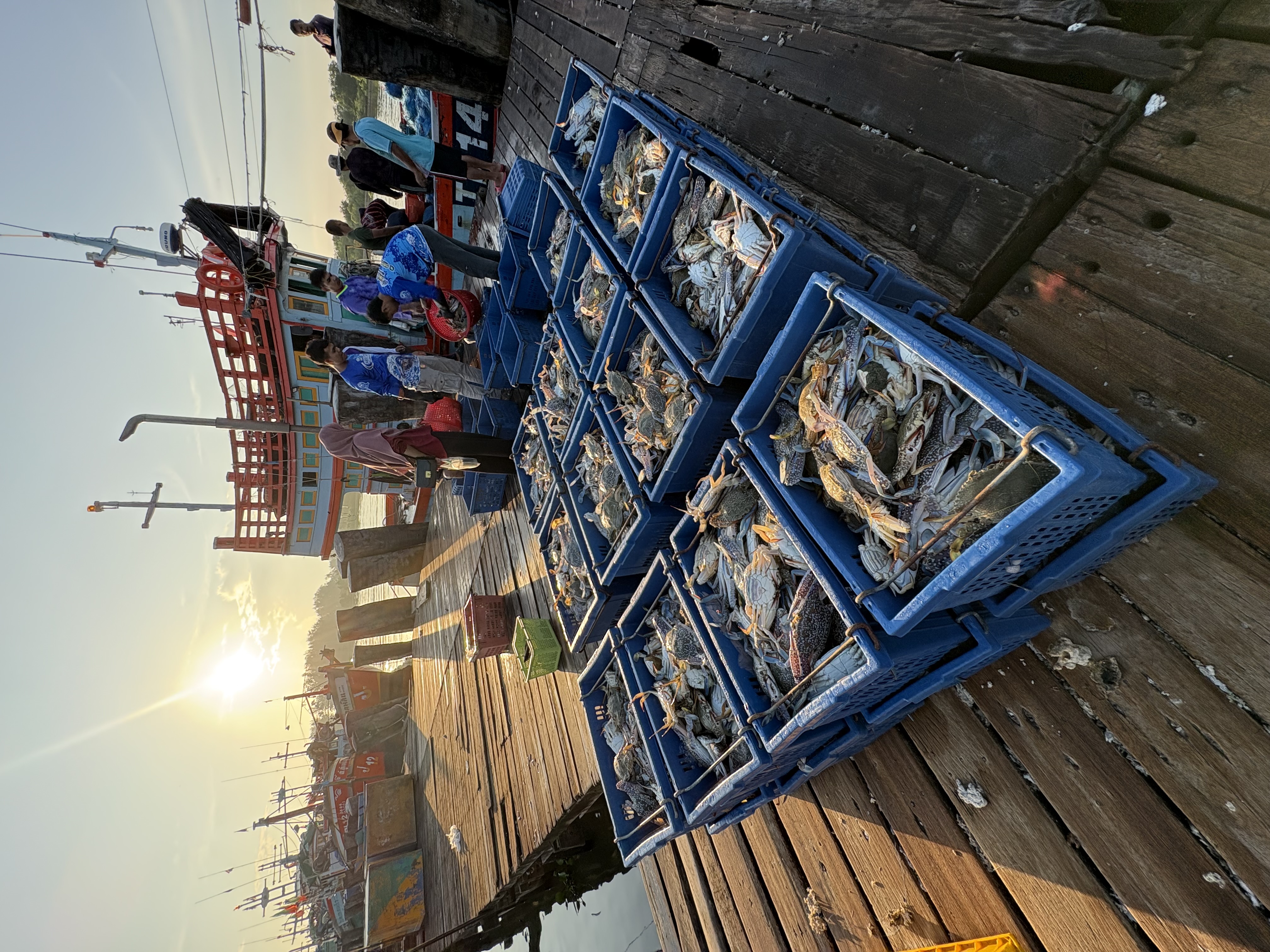 Purchasing raw materials from the fishery port